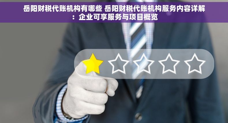 岳阳财税代账机构有哪些 岳阳财税代账机构服务内容详解：企业可享服务与项目概览