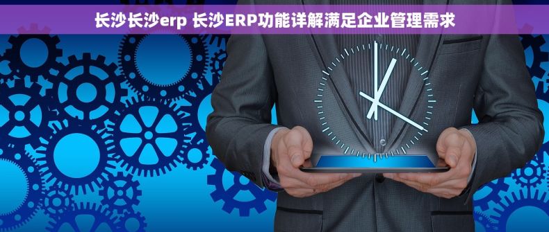 长沙长沙erp 长沙ERP功能详解满足企业管理需求