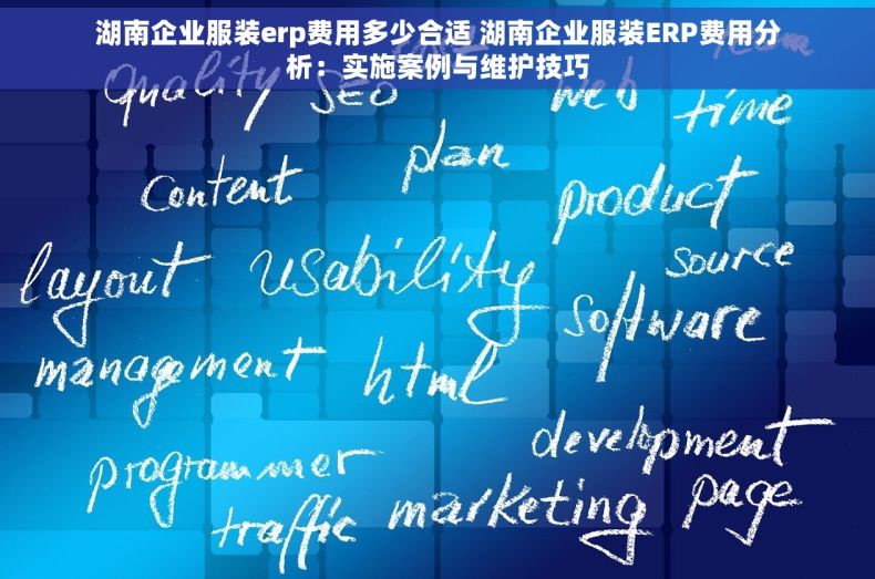 湖南企业服装erp费用多少合适 湖南企业服装ERP费用分析：实施案例与维护技巧