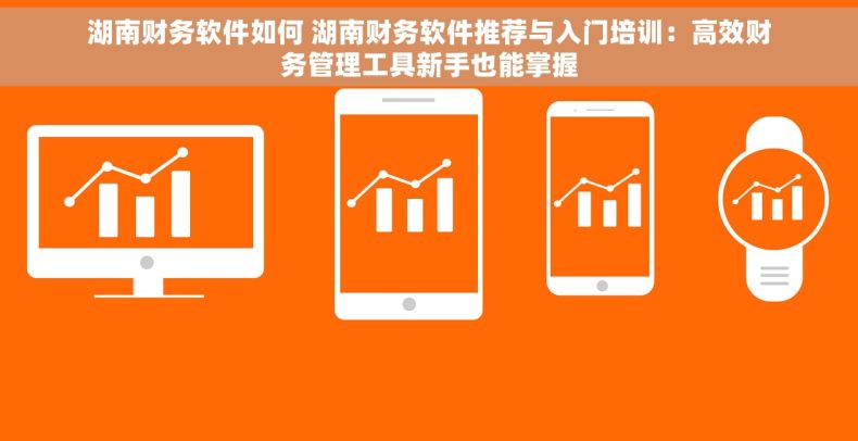 湖南财务软件如何 湖南财务软件推荐与入门培训：高效财务管理工具新手也能掌握