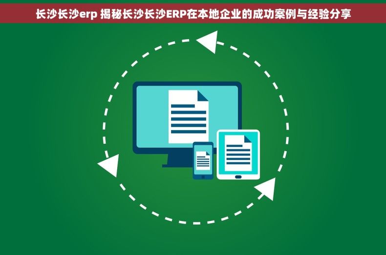 长沙长沙erp 揭秘长沙长沙ERP在本地企业的成功案例与经验分享