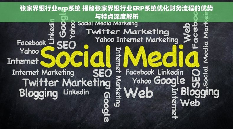 张家界银行业erp系统 揭秘张家界银行业ERP系统优化财务流程的优势与特点深度解析