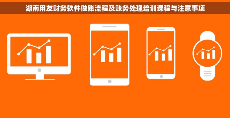 湖南用友财务软件做账流程及账务处理培训课程与注意事项