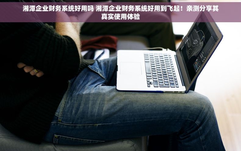 湘潭企业财务系统好用吗 湘潭企业财务系统好用到飞起！亲测分享其真实使用体验