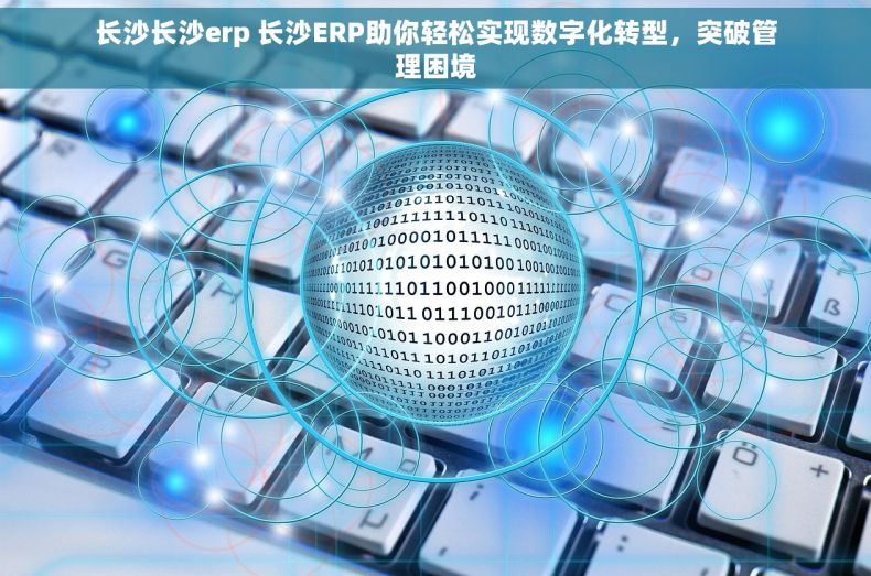 长沙长沙erp 长沙ERP助你轻松实现数字化转型，突破管理困境