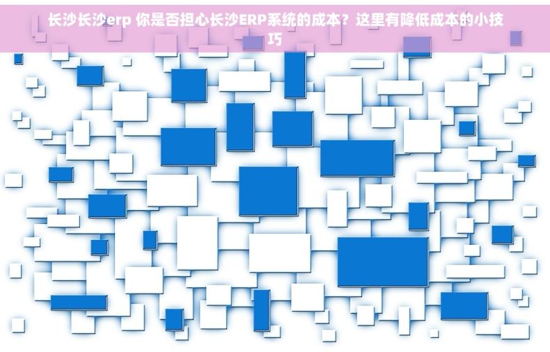 长沙长沙erp 你是否担心长沙ERP系统的成本？这里有降低成本的小技巧