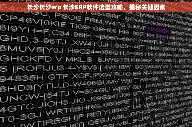 长沙长沙erp 长沙ERP软件选型攻略，揭秘关键因素