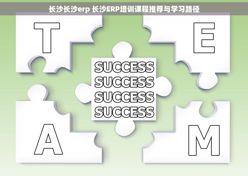长沙长沙erp 长沙ERP培训课程推荐与学习路径