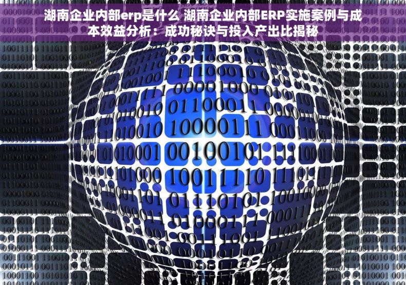 湖南企业内部erp是什么 湖南企业内部ERP实施案例与成本效益分析：成功秘诀与投入产出比揭秘