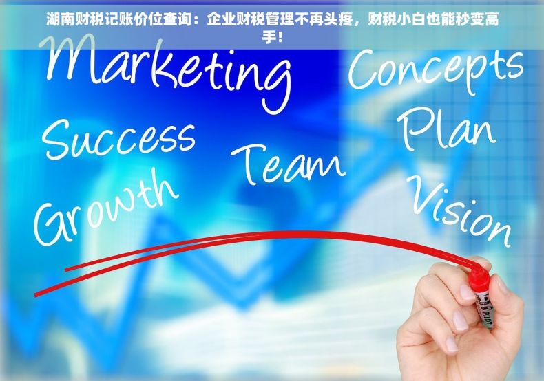 湖南财税记账价位查询：企业财税管理不再头疼，财税小白也能秒变高手！