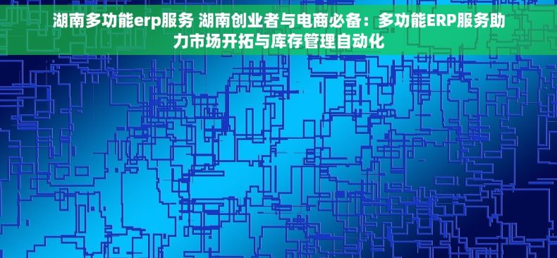 湖南多功能erp服务 湖南创业者与电商必备：多功能ERP服务助力市场开拓与库存管理自动化