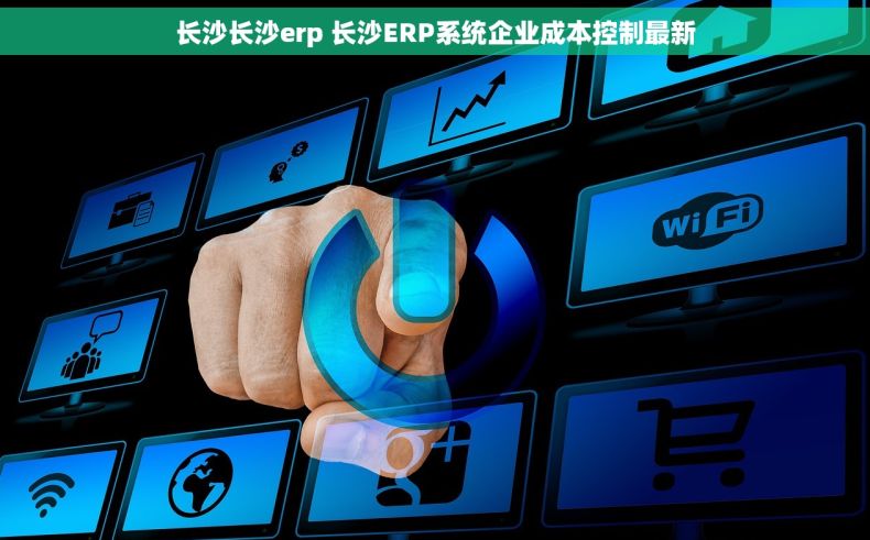 长沙长沙erp 长沙ERP系统企业成本控制最新