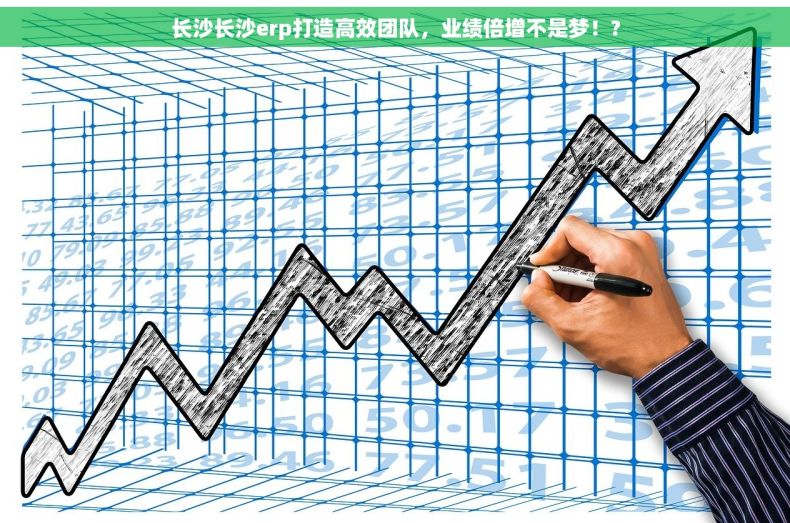 长沙长沙erp打造高效团队，业绩倍增不是梦！?