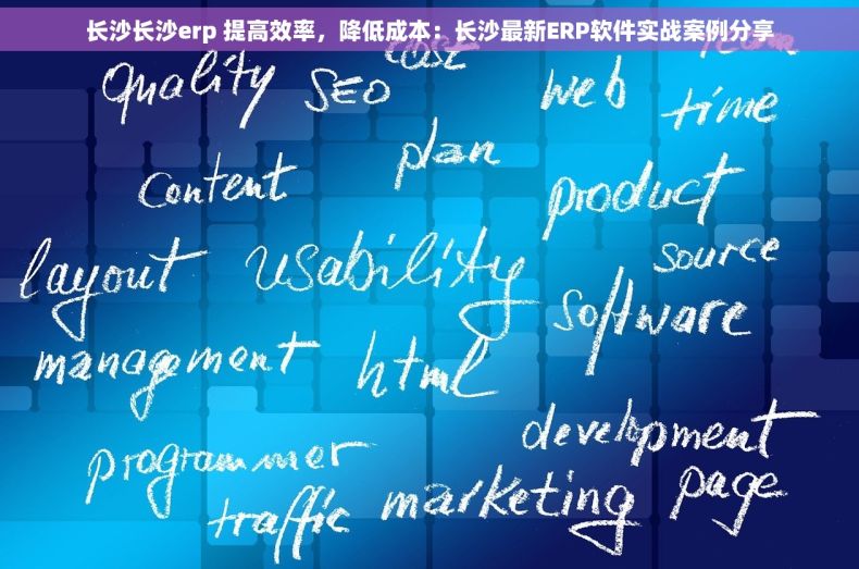 长沙长沙erp 提高效率，降低成本：长沙最新ERP软件实战案例分享