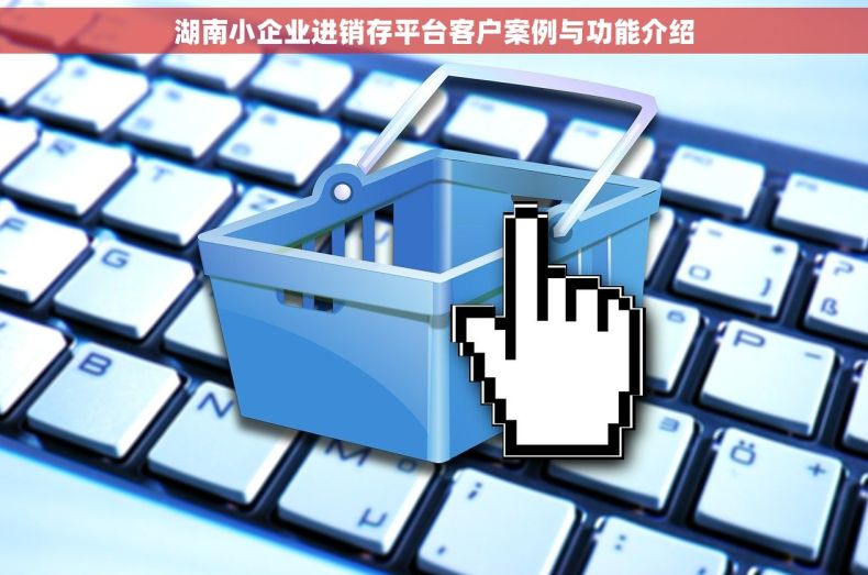 湖南小企业进销存平台客户案例与功能介绍