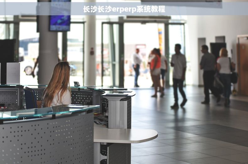 长沙长沙erperp系统教程