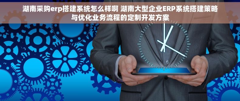 湖南采购erp搭建系统怎么样啊 湖南大型企业ERP系统搭建策略与优化业务流程的定制开发方案