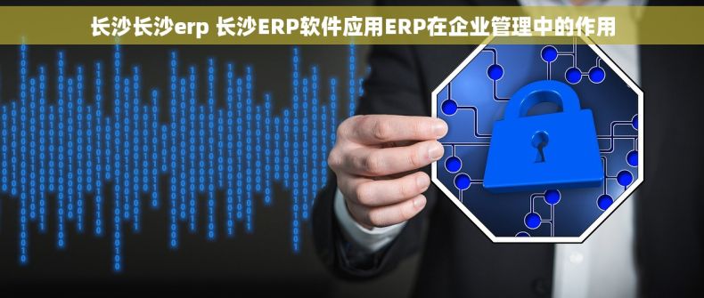 长沙长沙erp 长沙ERP软件应用ERP在企业管理中的作用