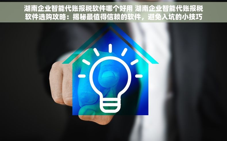 湖南企业智能代账报税软件哪个好用 湖南企业智能代账报税软件选购攻略：揭秘最值得信赖的软件，避免入坑的小技巧