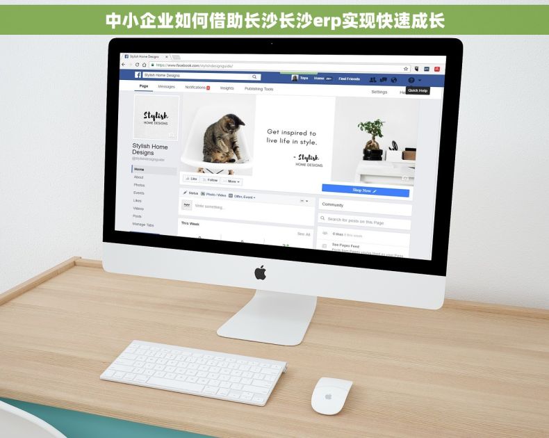 中小企业如何借助长沙长沙erp实现快速成长