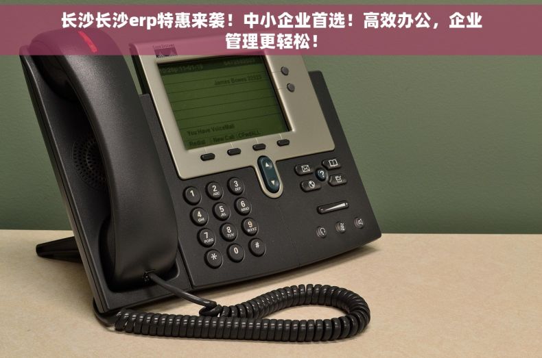 长沙长沙erp特惠来袭！中小企业首选！高效办公，企业管理更轻松！