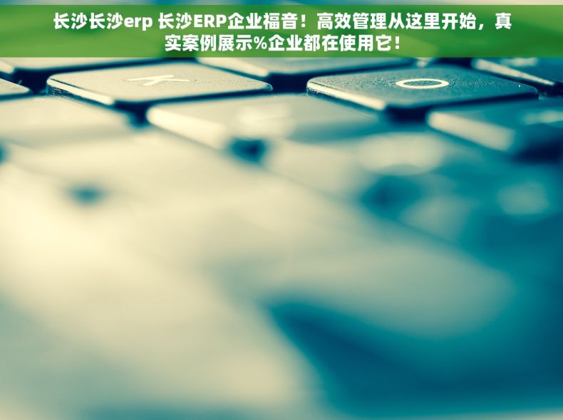 长沙长沙erp 长沙ERP企业福音！高效管理从这里开始，真实案例展示%企业都在使用它！
