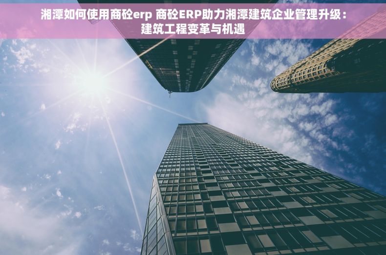湘潭如何使用商砼erp 商砼ERP助力湘潭建筑企业管理升级：建筑工程变革与机遇