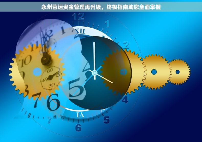 永州营运资金管理再升级，终极指南助您全面掌握