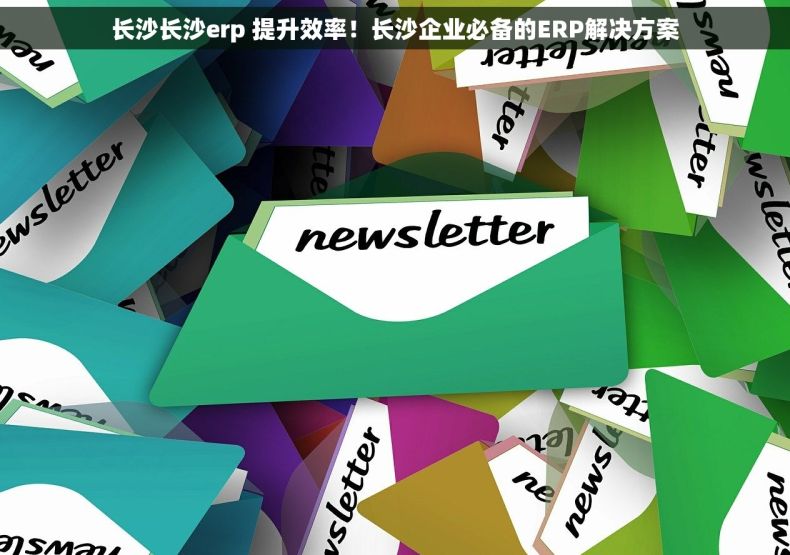 长沙长沙erp 提升效率！长沙企业必备的ERP解决方案