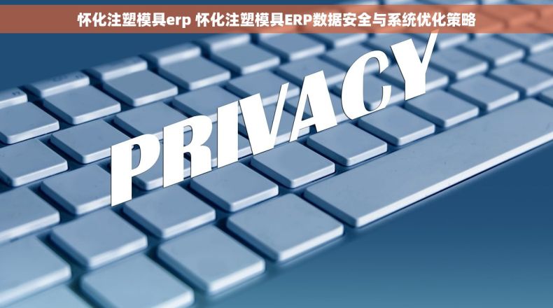 怀化注塑模具erp 怀化注塑模具ERP数据安全与系统优化策略
