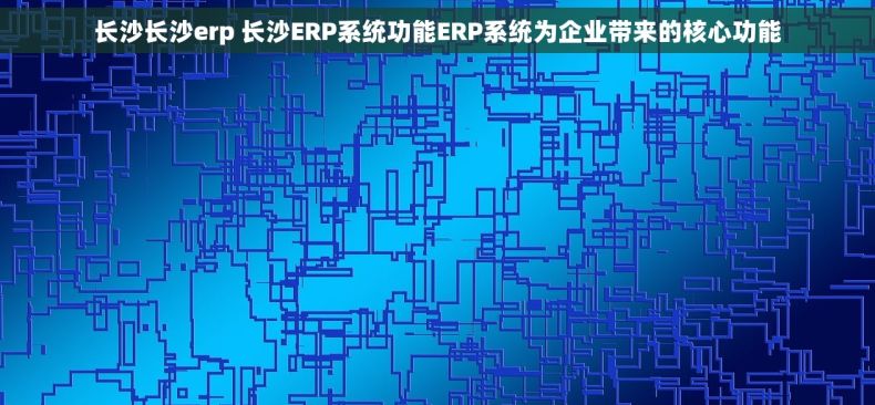 长沙长沙erp 长沙ERP系统功能ERP系统为企业带来的核心功能
