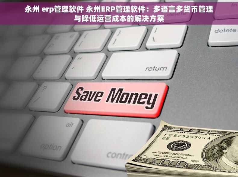 永州 erp管理软件 永州ERP管理软件：多语言多货币管理与降低运营成本的解决方案