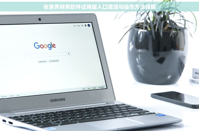 张家界财务软件试用版入口激活与操作方法详解