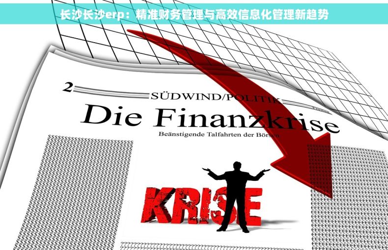 长沙长沙erp：精准财务管理与高效信息化管理新趋势