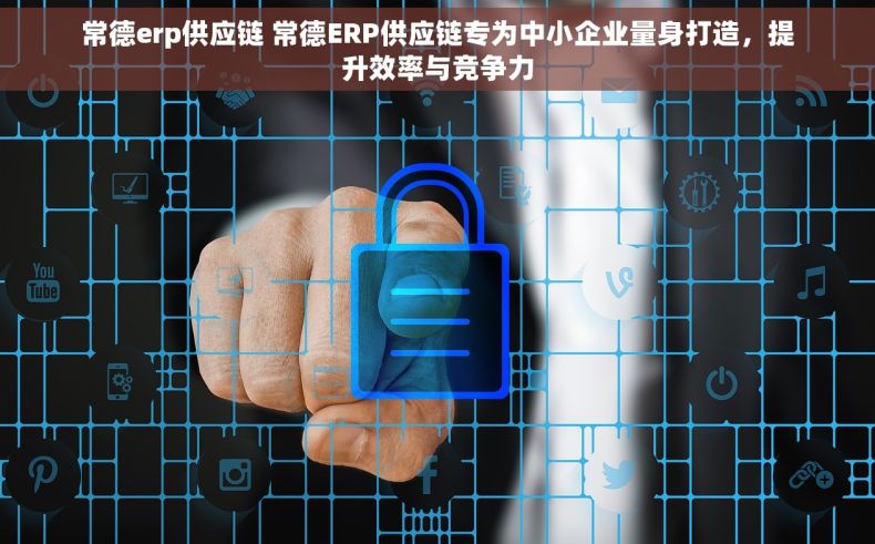 常德erp供应链 常德ERP供应链专为中小企业量身打造，提升效率与竞争力