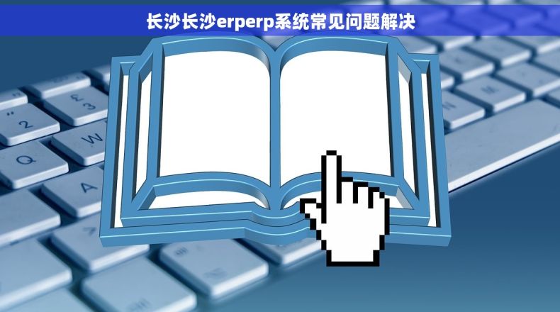 长沙长沙erperp系统常见问题解决