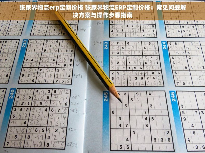 张家界物流erp定制价格 张家界物流ERP定制价格：常见问题解决方案与操作步骤指南