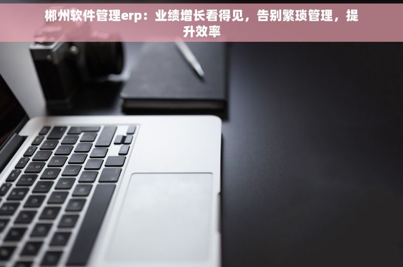 郴州软件管理erp：业绩增长看得见，告别繁琐管理，提升效率