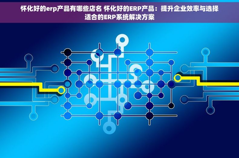怀化好的erp产品有哪些店名 怀化好的ERP产品：提升企业效率与选择适合的ERP系统解决方案