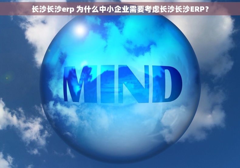 长沙长沙erp 为什么中小企业需要考虑长沙长沙ERP？