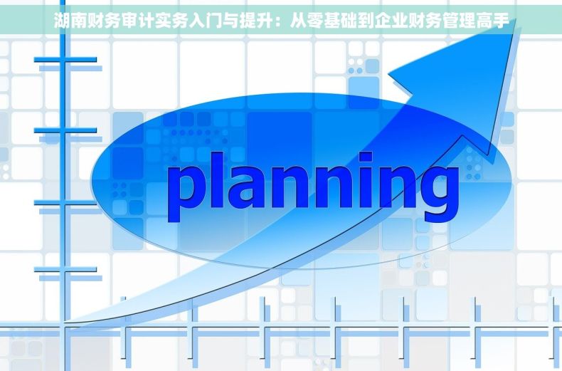 湖南财务审计实务入门与提升：从零基础到企业财务管理高手