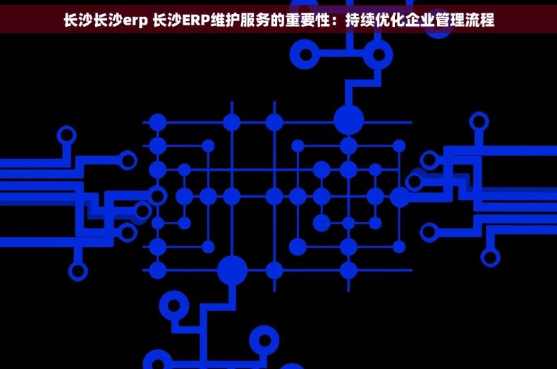 长沙长沙erp 长沙ERP维护服务的重要性：持续优化企业管理流程