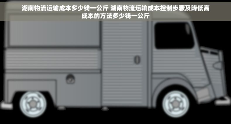 湖南物流运输成本多少钱一公斤 湖南物流运输成本控制步骤及降低高成本的方法多少钱一公斤