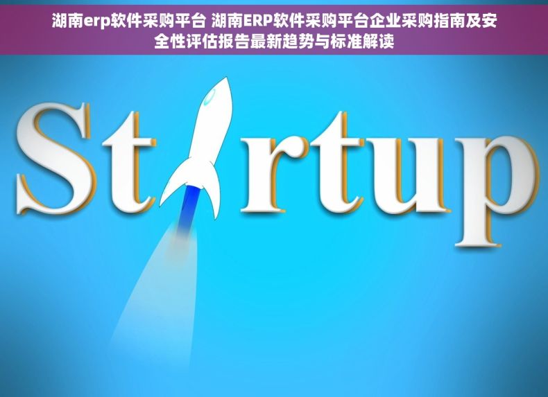 湖南erp软件采购平台 湖南ERP软件采购平台企业采购指南及安全性评估报告最新趋势与标准解读