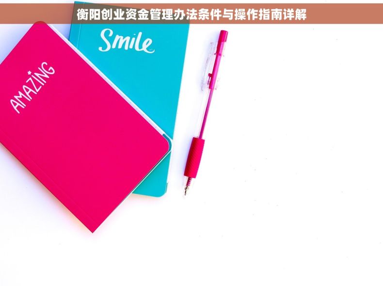衡阳创业资金管理办法条件与操作指南详解