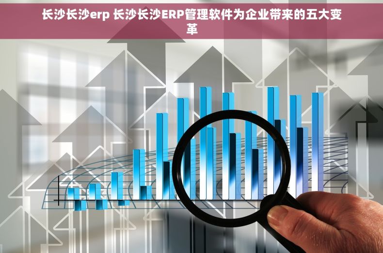 长沙长沙erp 长沙长沙ERP管理软件为企业带来的五大变革