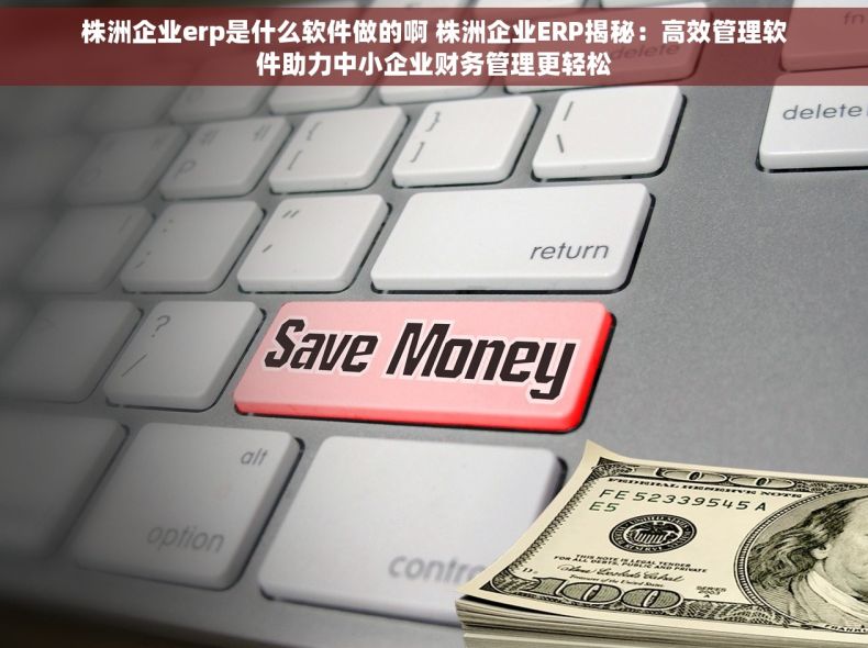 株洲企业erp是什么软件做的啊 株洲企业ERP揭秘：高效管理软件助力中小企业财务管理更轻松