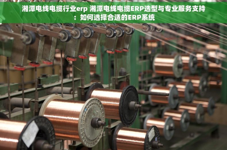 湘潭电线电缆行业erp 湘潭电线电缆ERP选型与专业服务支持：如何选择合适的ERP系统