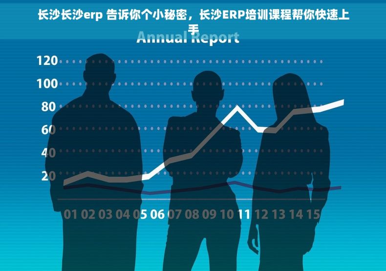 长沙长沙erp 告诉你个小秘密，长沙ERP培训课程帮你快速上手