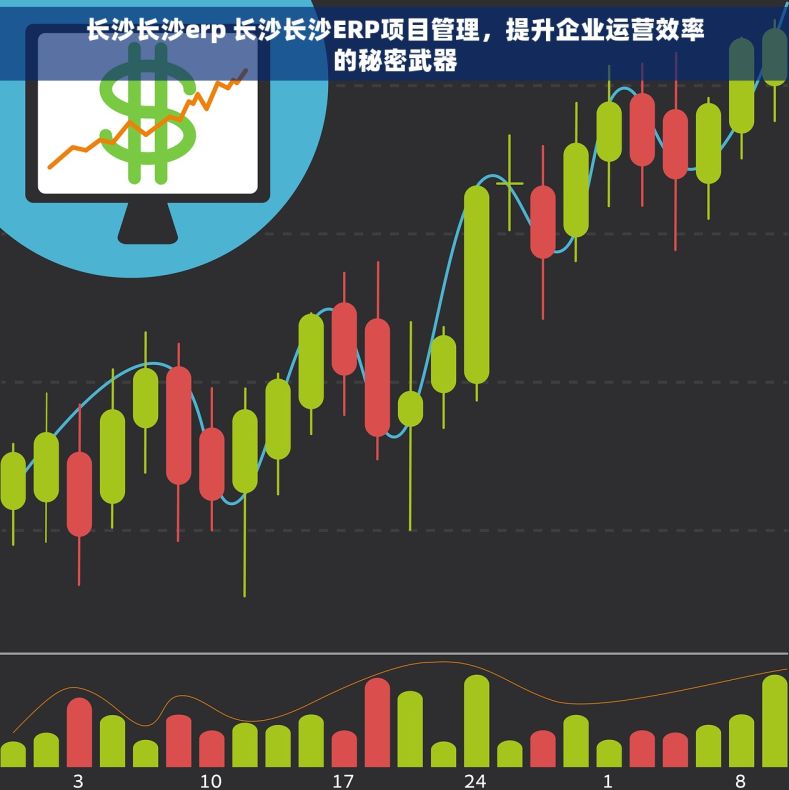 长沙长沙erp 长沙长沙ERP项目管理，提升企业运营效率的秘密武器